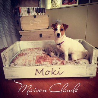 photostudio_1454179088216